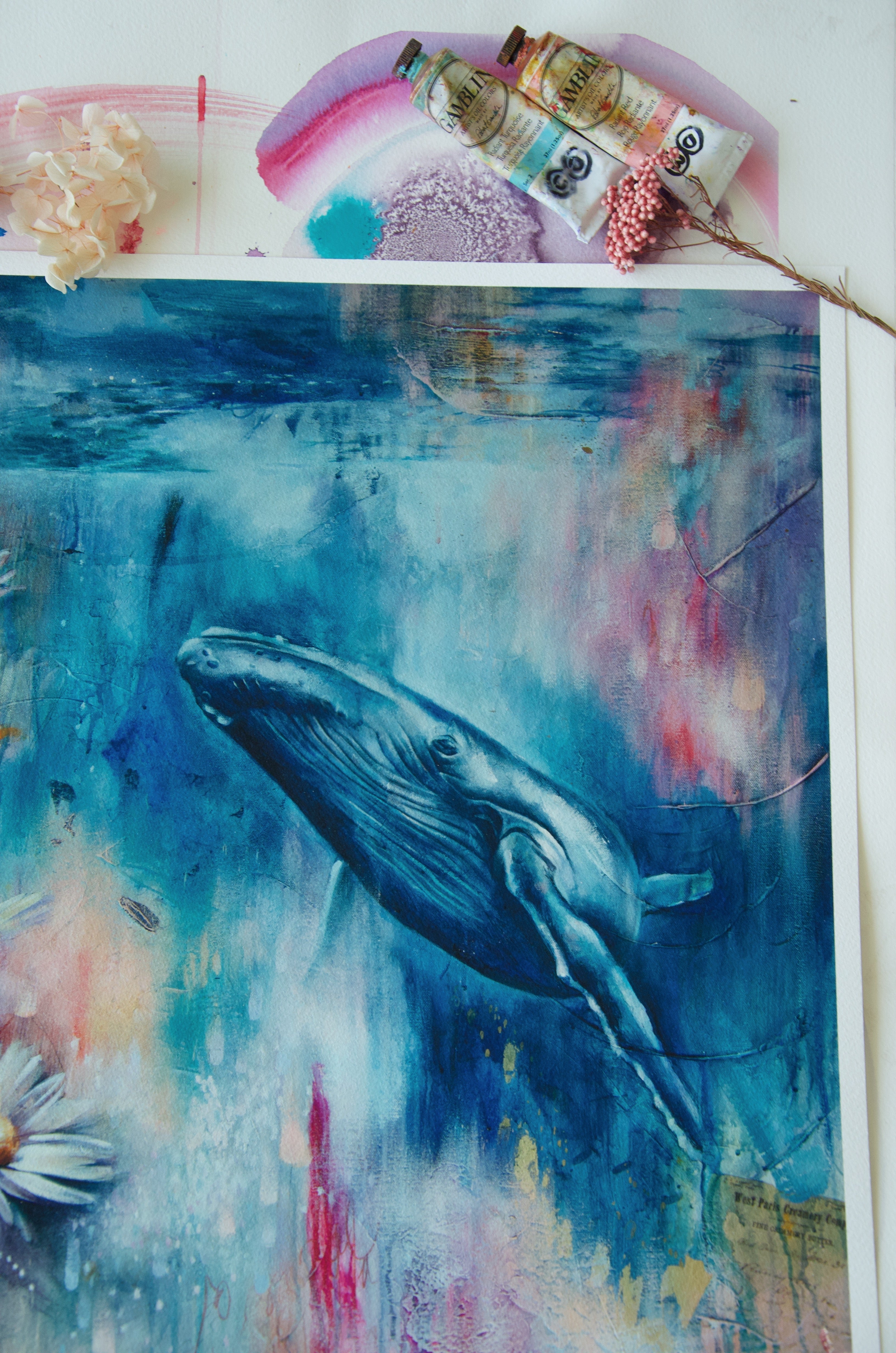 Ocean’s Harmony Veronica Caterisano