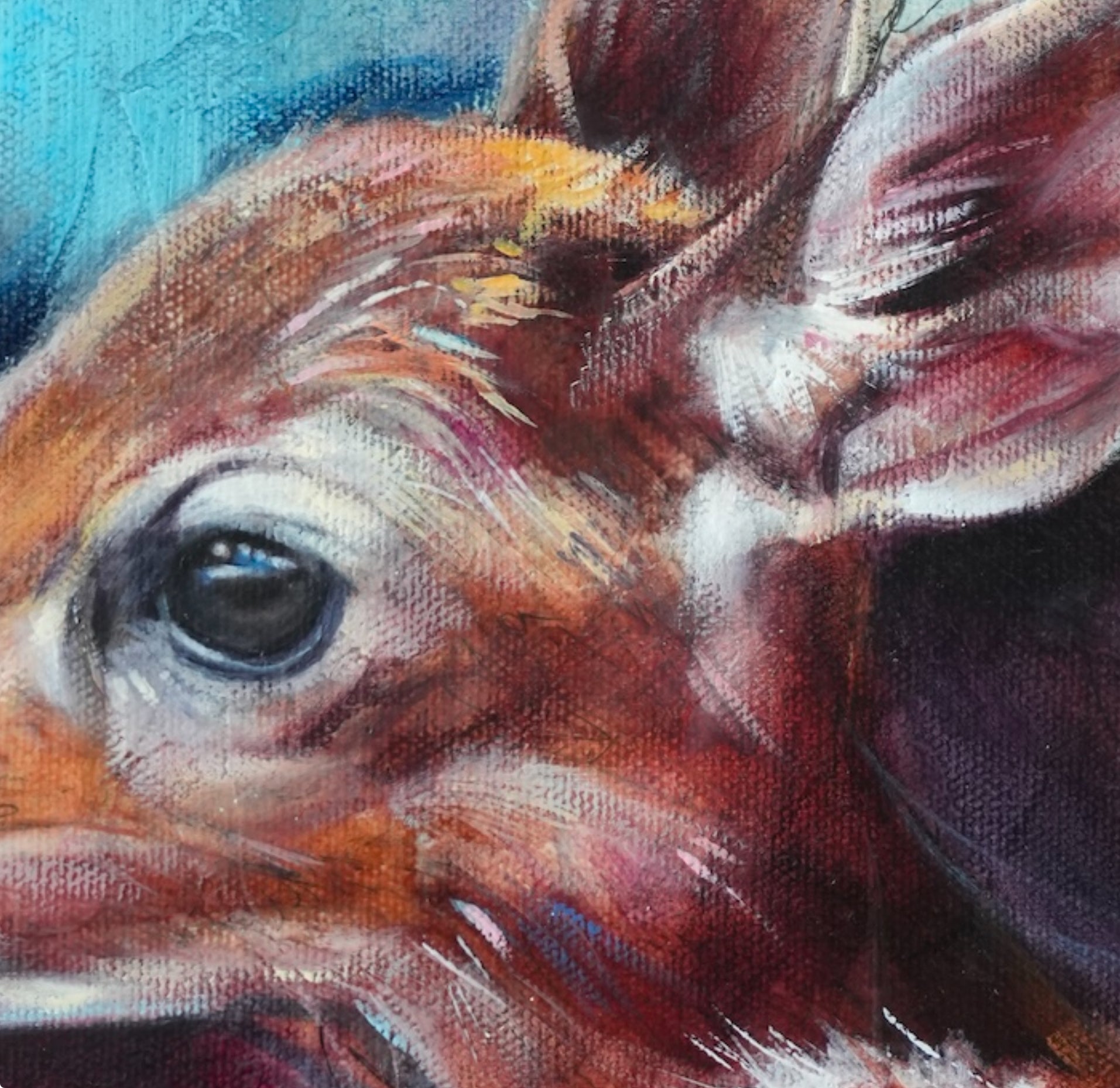Compassionate Original
